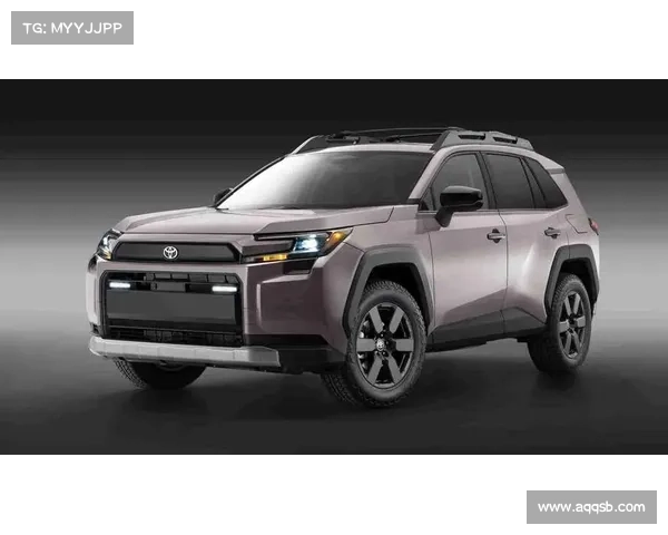 SUV档案揭秘(8) 全新丰田RAV4