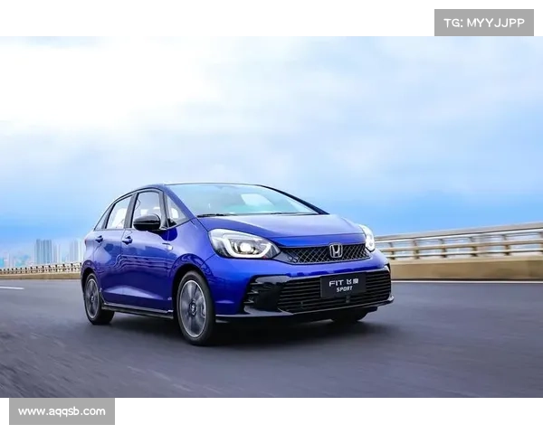 两厢首选 “新飞度”进化图录